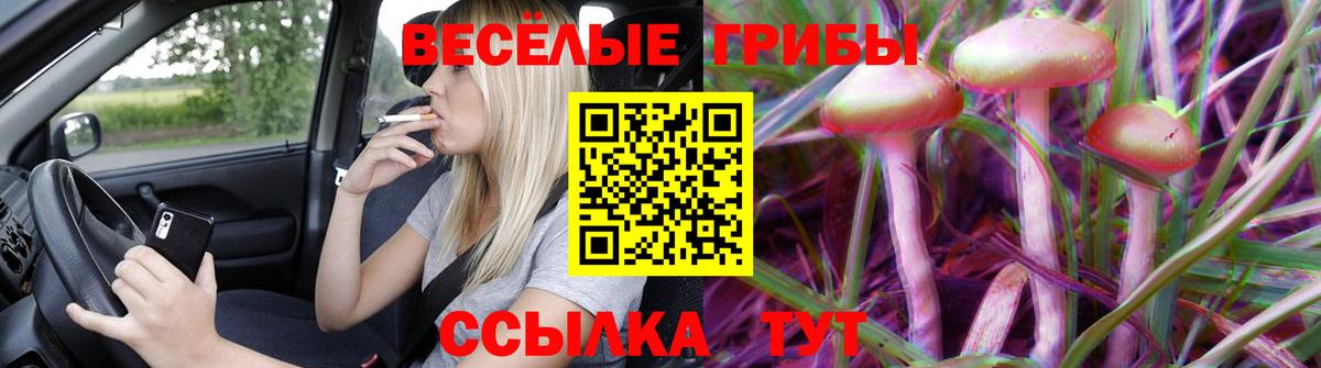 Псилоцибиновые грибы Psilocybine cubensis Анапа